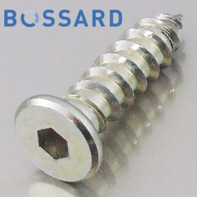 A����Ƭ ���åԥ󥰡�1���