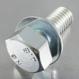 トリーマセムス P=1