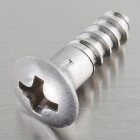 (+)�ݻ��ڤͤ�