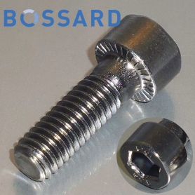 エコシングリップ