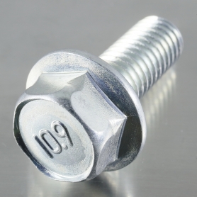 10.9�ե�󥸥ܥ�� 2�� ���졼��̵